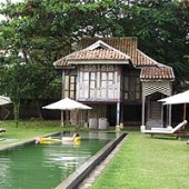 https://www.malaysiatrademart.com/data_images/thumbs/Temple_Tree_at_Bon_Ton1.jpg